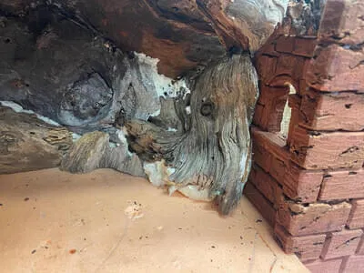 2025 - Herbstkurs Bild 7